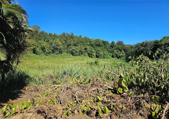 Homes for sale in Morovis, PR | Pr 159, Morovis, PR 00687 | MLS# PR9115971