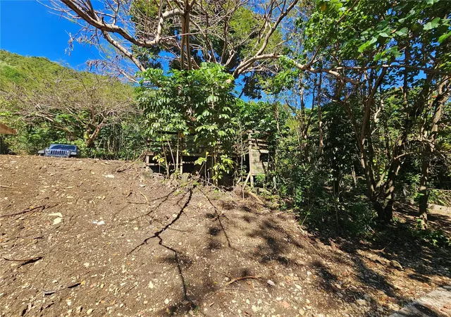 Homes for sale in Morovis, PR | Pr 159, Morovis, PR 00687 | MLS# PR9115971