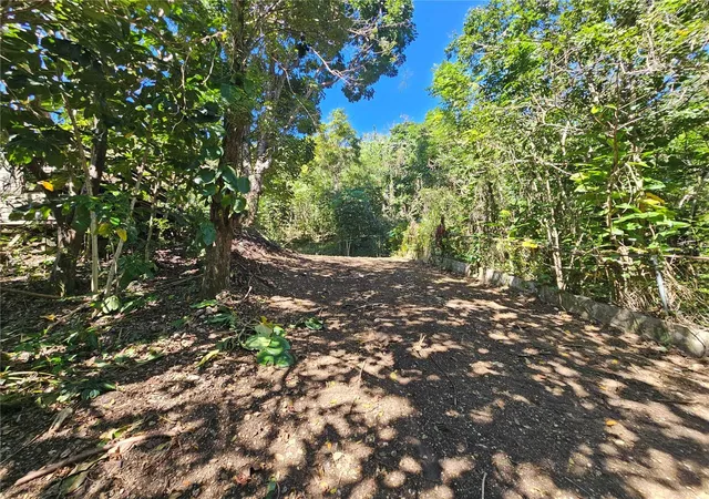 Homes for sale in Morovis, PR | Pr-159, Morovis, PR 00687 | MLS# PR9115971