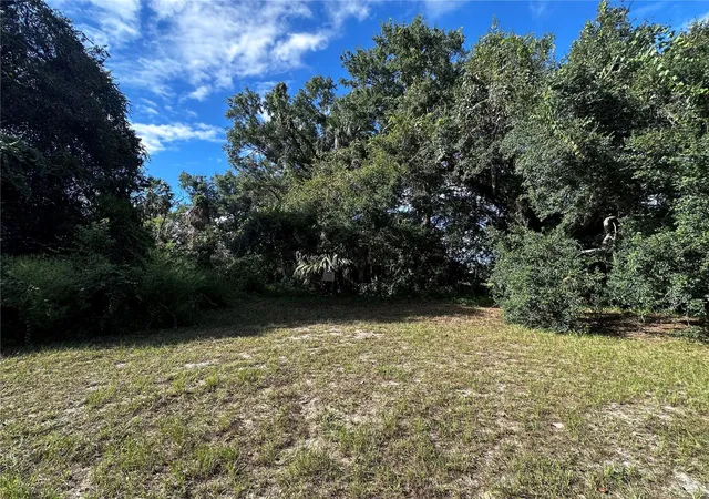 Photo 3 of Land for sale at 722 Highway 40 W, Inglis, FL 34449 | MLS# OM709276 | Listing updated on 2026-08-01