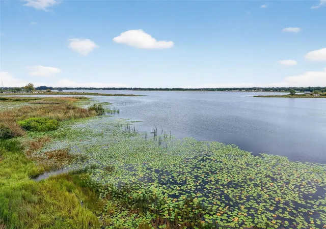 3rd image of Amvets Way, Mount Dora, FL 32757 | MLS# G5101912