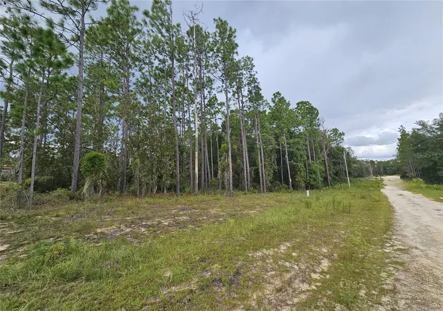 Homes for sale in Archer, FL | 11730 Ne 101st Ter, Archer, FL 32618 | MLS# OM709320