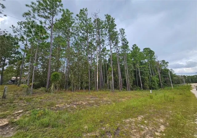 Homes for sale in Archer, FL | 11730 Ne 101st Ter, Archer, FL 32618 | MLS# OM709320