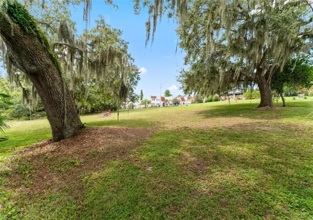 3rd image of 0 Riverhills Dr, Tampa, FL 33617 | MLS# TB8426382