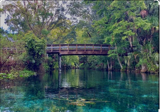44th image of 10264 Ne 28th Loop, Silver Springs, FL 34488 | MLS# O6343296