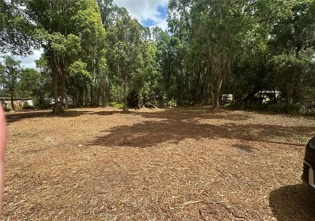 Photo 2 of Land for sale at Turkey Crk, Plant City, FL 33566 | MLS# TB8426706 | Listing updated on 2026-08-27