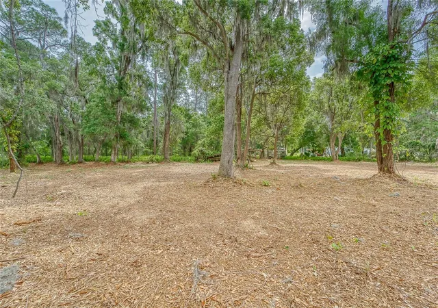 Photo 4 of Land for sale at Turkey Crk, Plant City, FL 33566 | MLS# TB8426706 | Listing updated on 2026-08-27