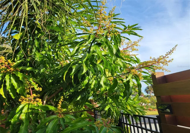 22nd image of 755 Kent Rd, Venice, FL 34293 | MLS# O6343728