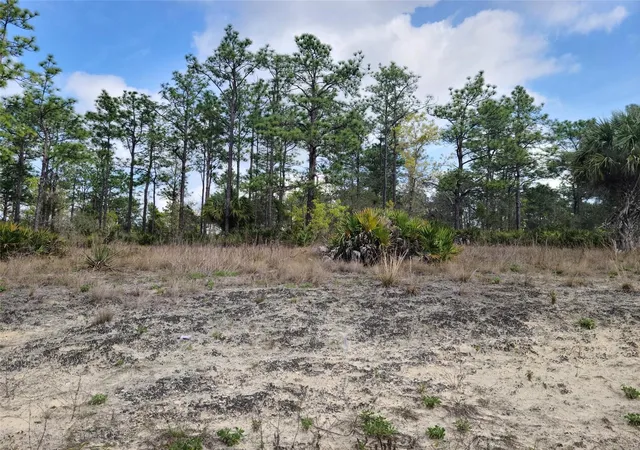 3rd image of 12121 Thrasher Ave, Weeki Wachee, FL 34614 | MLS# W7878933