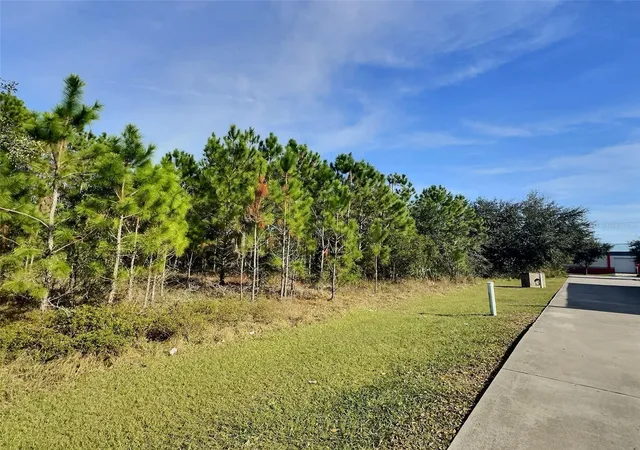 4th image of 0 N State St, Bunnell, FL 32110 | MLS# FC312731