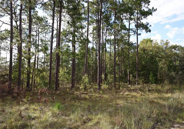 5th image of 403 Melrose Landing, Hawthorne, FL 32640 | MLS# O6344163
