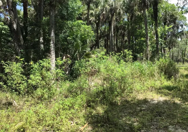 20th image of 4390 S Mellonville Ave, Sanford, FL 32773 | MLS# O6344300