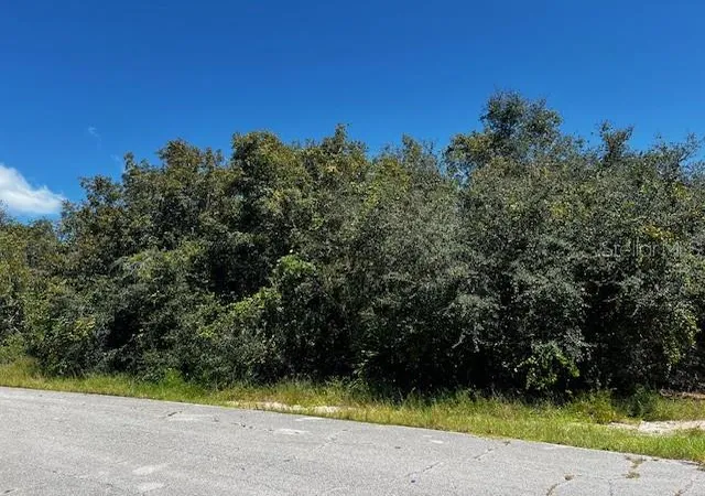 Photo 2 of Land for sale at 1229 Baltic Dr, Kissimmee, FL 34759 | MLS# S5134712 | Listing updated on 2026-10-01