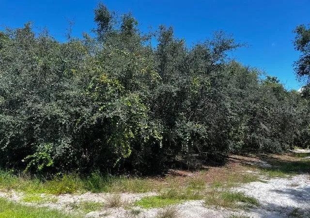 Photo 3 of Land for sale at 1229 Baltic Dr, Kissimmee, FL 34759 | MLS# S5134712 | Listing updated on 2026-10-01