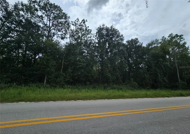 Photo 1 of Land for sale at 9830 Ne 65th Lane, Bronson, FL 32621 | MLS# OM709609 | Listing updated on 2026-08-19