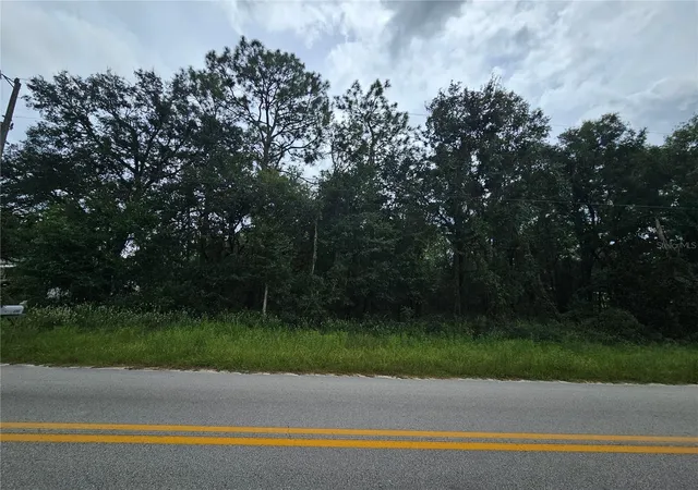 Photo 3 of Land for sale at 9830 Ne 65th Lane, Bronson, FL 32621 | MLS# OM709609 | Listing updated on 2026-08-19
