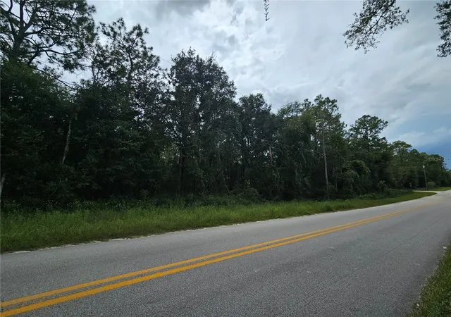 Photo 4 of Land for sale at 9830 Ne 65th Lane, Bronson, FL 32621 | MLS# OM709609 | Listing updated on 2026-08-19