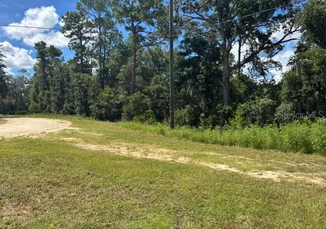 2nd image of 0000 Se 178th Ter, Silver Springs, FL 34488 | MLS# OM709703