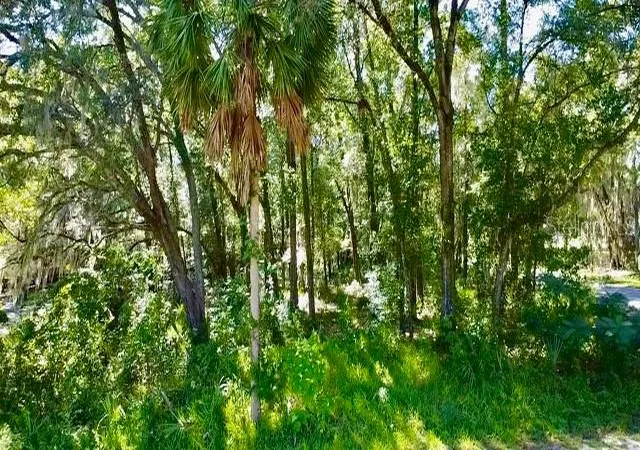 3rd image of 2790 Ne 49Th Ave, Ocala, FL 34470 | MLS# O6345127