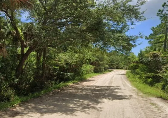 Photo 1 of Land for sale at 451 County Road 330, Bunnell, FL 32110 | MLS# FC312820 | Listing updated on 2025-09-18
