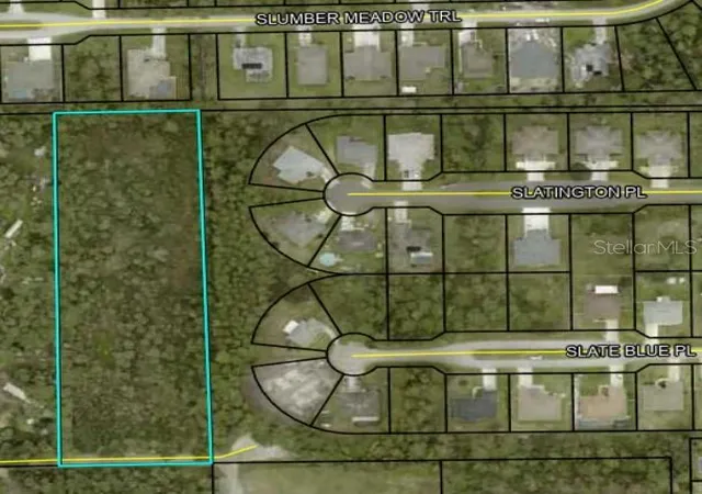 Photo 2 of Land for sale at 451 County Road 330, Bunnell, FL 32110 | MLS# FC312820 | Listing updated on 2025-09-18