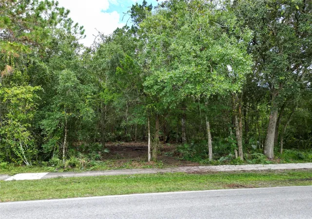 Photo 3 of Land for sale at 2039 North 6th St, Orlando, FL 32820 | MLS# O6345395 | Listing updated on 2026-07-21