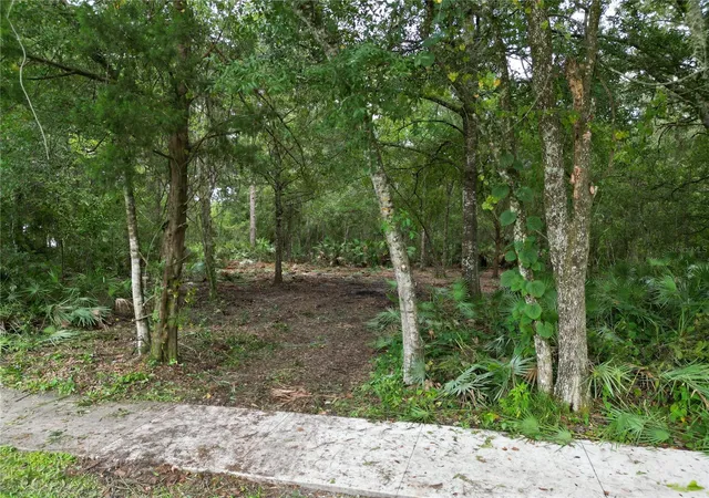 Photo 3 of Land for sale at 2039 North 6th St, Orlando, FL 32820 | MLS# O6345395 | Listing updated on 2026-07-21