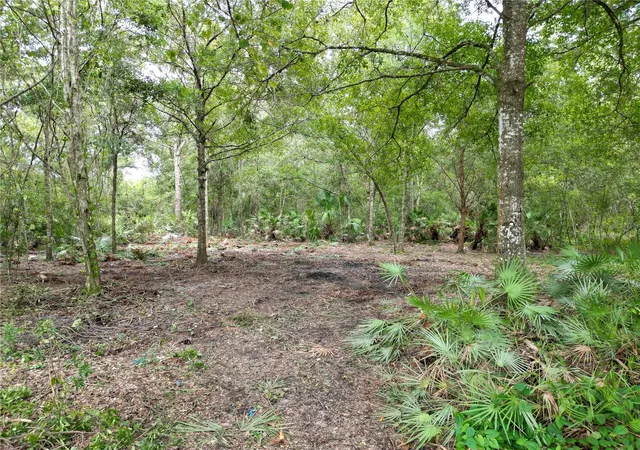 Photo 4 of Land for sale at 2039 North 6th St, Orlando, FL 32820 | MLS# O6345395 | Listing updated on 2026-07-21