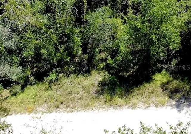 Photo 1 of Land for sale at 0 Ne 138th Terrace, Williston, FL 32696 | MLS# O6345720 | Listing updated on 2026-08-11