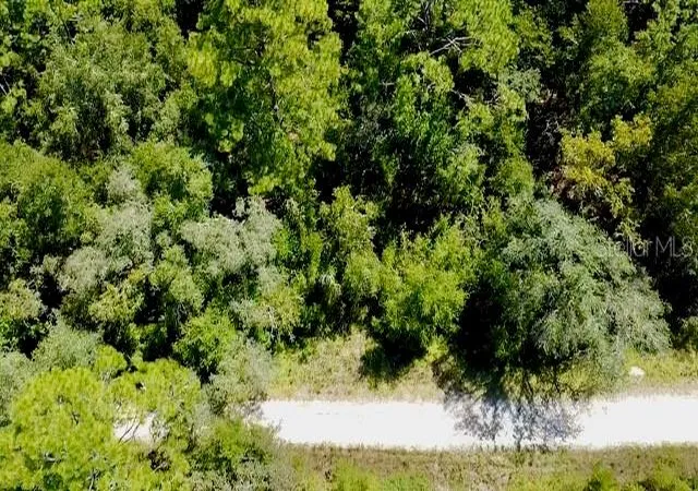 Photo 2 of Land for sale at 0 Ne 138th Terrace, Williston, FL 32696 | MLS# O6345720 | Listing updated on 2026-08-11