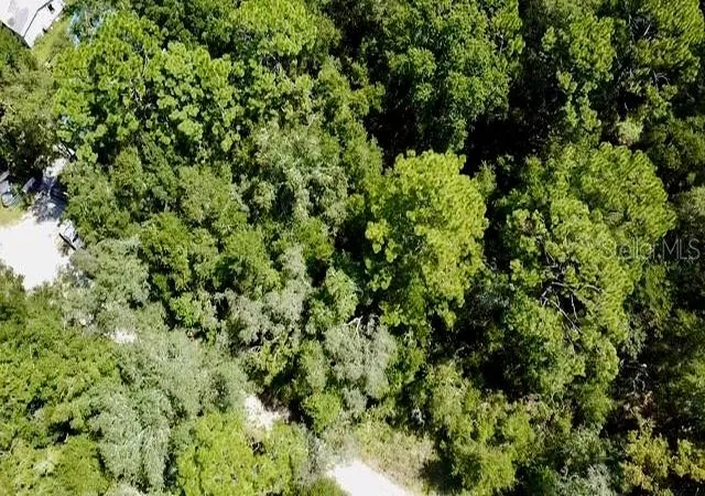 Photo 3 of Land for sale at 0 Ne 138th Terrace, Williston, FL 32696 | MLS# O6345720 | Listing updated on 2026-08-11