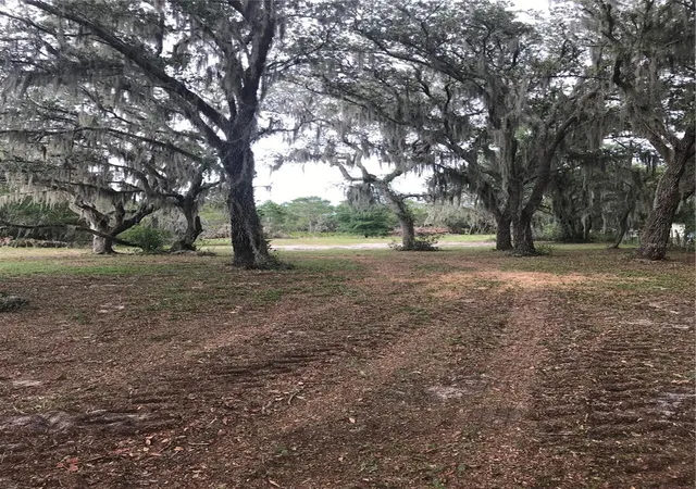 3rd image of 0 80 Foot Rd, Bartow, FL 33830 | MLS# B4902065