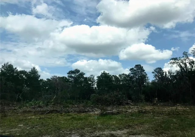 4th image of 0 80 Foot Rd, Bartow, FL 33830 | MLS# B4902065