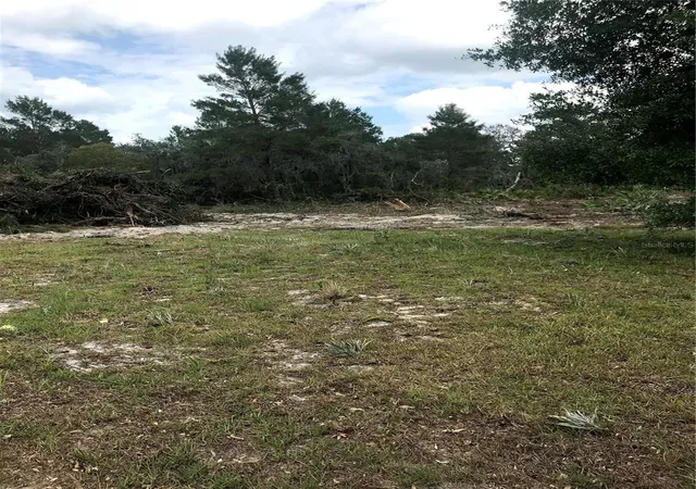 5th image of 0 80 Foot Rd, Bartow, FL 33830 | MLS# B4902065