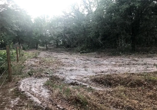6th image of 0 80 Foot Rd, Bartow, FL 33830 | MLS# B4902065