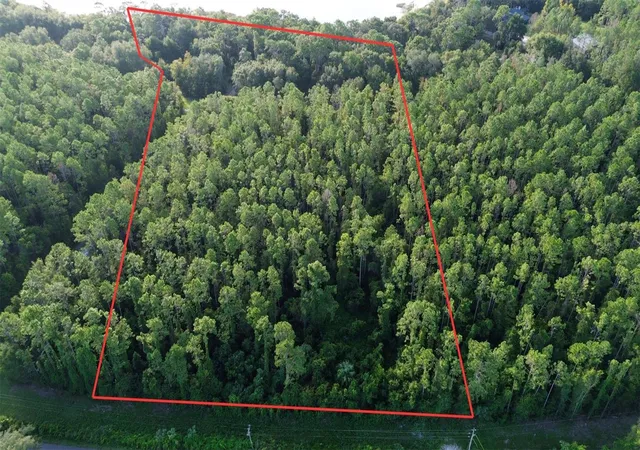 4th image of Tbd Se 170Th Ave, Ocklawaha, FL 32179 | MLS# OM709988