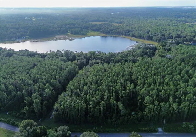 5th image of Tbd Se 170Th Ave, Ocklawaha, FL 32179 | MLS# OM709988