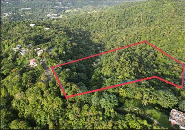 Homes for sale in Aguas Buenas, PR | Bo Caguitas , Carr 785 Km Hm 42,, Aguas Buenas, PR 00703 | MLS# PR9116218