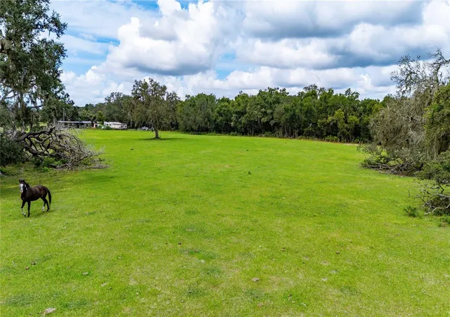 Homes for sale in Dade City, FL | Pinkston Rd, Dade City, FL 33523 | MLS# TB8431012