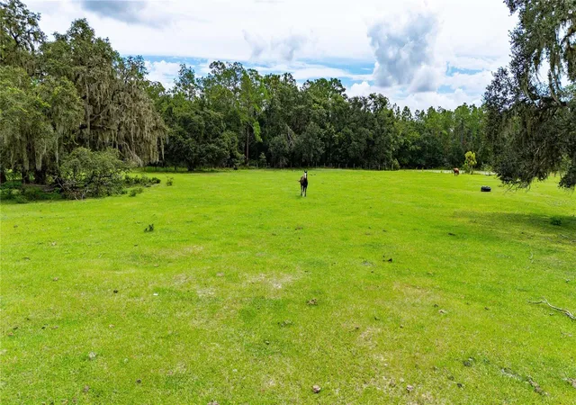 Homes for sale in Dade City, FL | Pinkston Rd, Dade City, FL 33523 | MLS# TB8431012