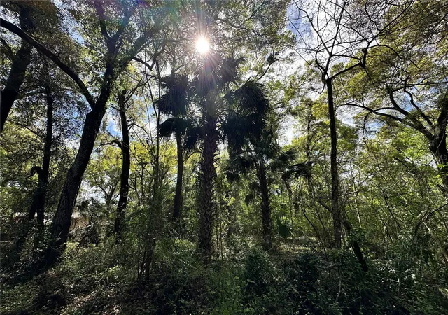 15th image of Tbd Sw 5th Ln, Ocala, FL 34481 | MLS# OM710211