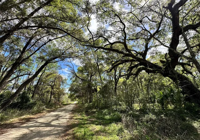 Photo 3 of Land for sale at Tbd Sw 5th Lane, Ocala, FL 34481 | MLS# OM710211 | Listing updated on 2026-03-17