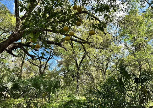 Photo 4 of Land for sale at Tbd SW 5th Lane, Ocala, FL 34481 | MLS# OM710211 | Listing updated on 2026-03-17