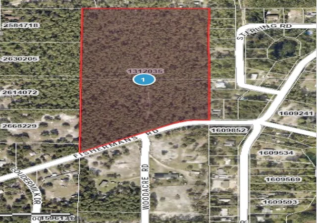 1st image of Fishermans Rd, Paisley, FL 32767 | MLS# O6347276