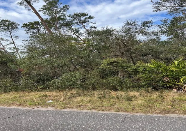 2nd image of Fishermans Rd, Paisley, FL 32767 | MLS# O6347276