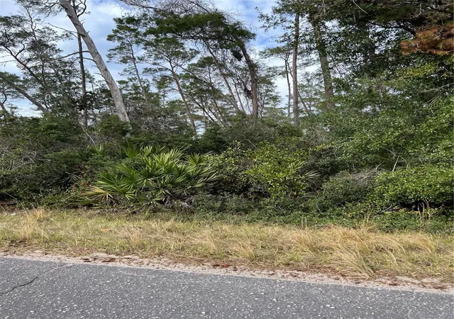 4th image of Fishermans Rd, Paisley, FL 32767 | MLS# O6347276