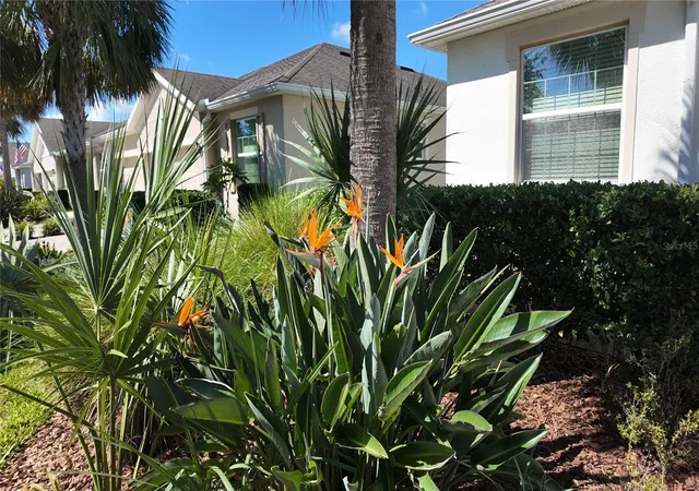 3rd image of 7690 Timberview Loop, Wesley Chapel, FL 33545 | MLS# TB8431422