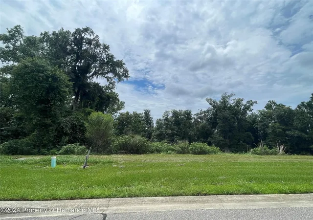 Photo 2 of Land for sale at 5995 Crk Ridge Rd, Brooksville, FL 34601 | MLS# W7879271 | Listing updated on 2026-07-16