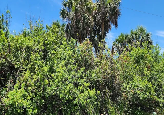 Photo 1 of Land for sale at 108 Bebb Ct, Rotonda West, FL 33947 | MLS# D6143971 | Listing updated on 2026-10-07