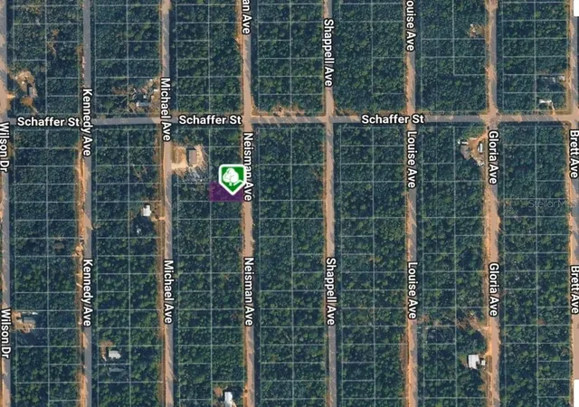 Photo 2 of Land for sale at Lot 33 Neisman Ave, Interlachen, FL 32148 | MLS# OM710311 | Listing updated on 2026-10-13